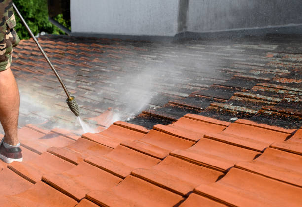 Best Roof Power Washing Services  in Gainesville, TX